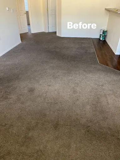 A room with stained brown carpet; the text 