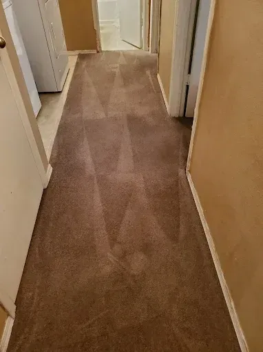 Narrow hallway with brown carpet, tan walls, and white doors.