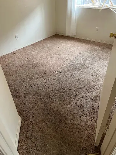Empty room with brown carpet, white walls, and a window with a white curtain.