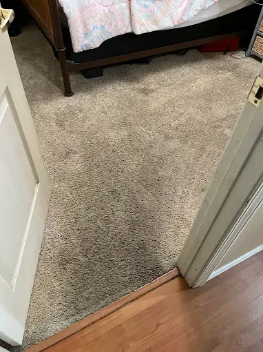 Bedroom doorway with tan carpet, brown hardwood floor, and a bed.
