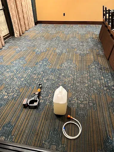Carpet being cleaned with cleaning tool, jug of liquid, and hose in a room with a patterned carpet and curtains.