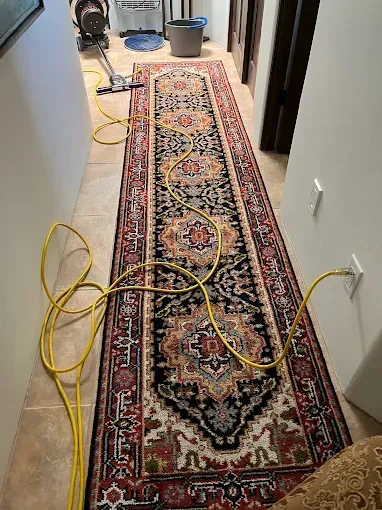 Long ornate runner rug in hallway with vacuum and yellow cord.