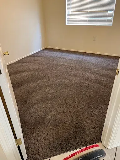 A room with newly cleaned brown carpet, doorway on the left, window with blinds in the top right.