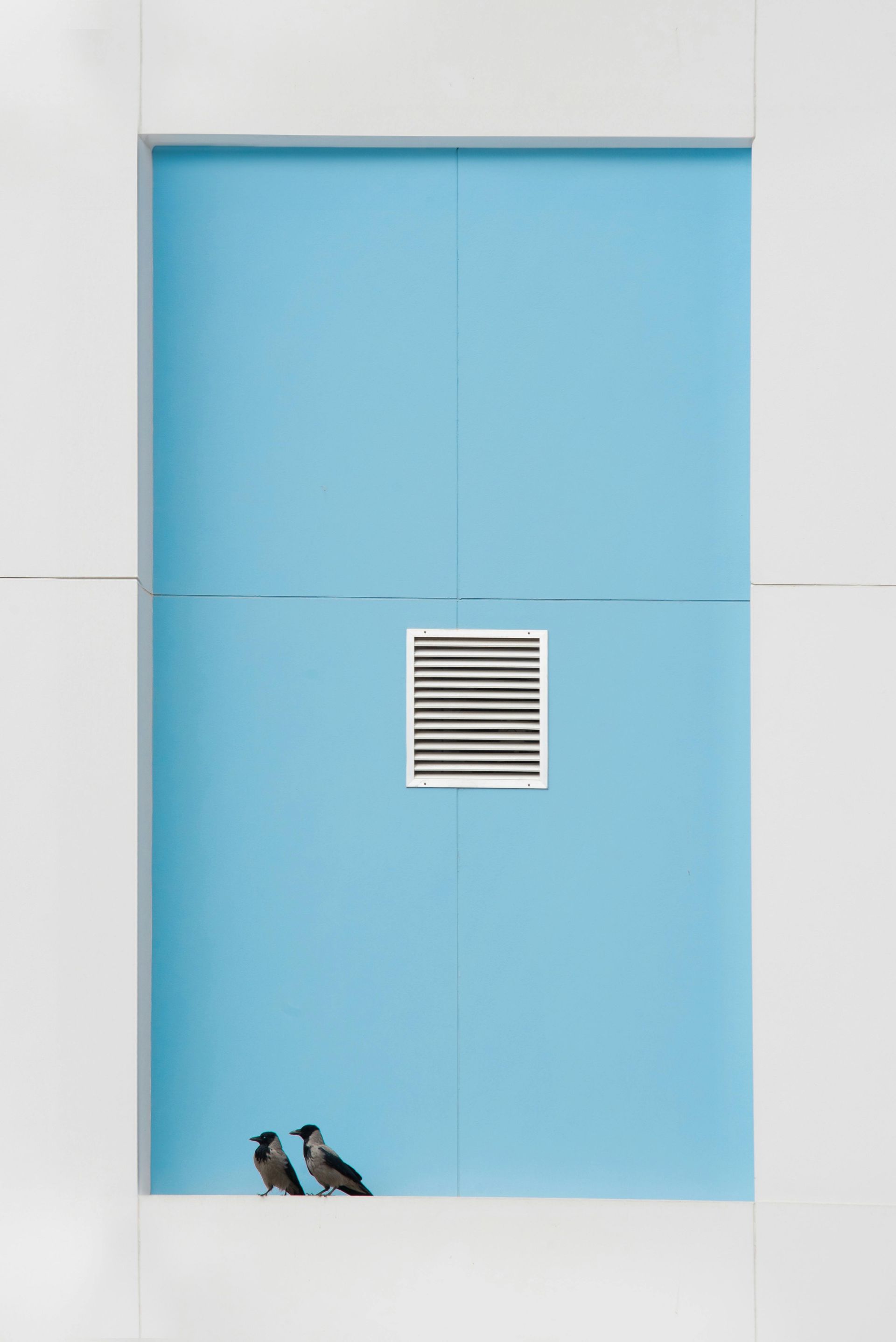 Two birds perched on a ledge beneath a blue wall with a vent, framed by a white border.