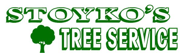 Stoyko’s Tree Service