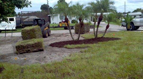 Martinez Tree Sod Service, Landscaping Punta Gorda Fl