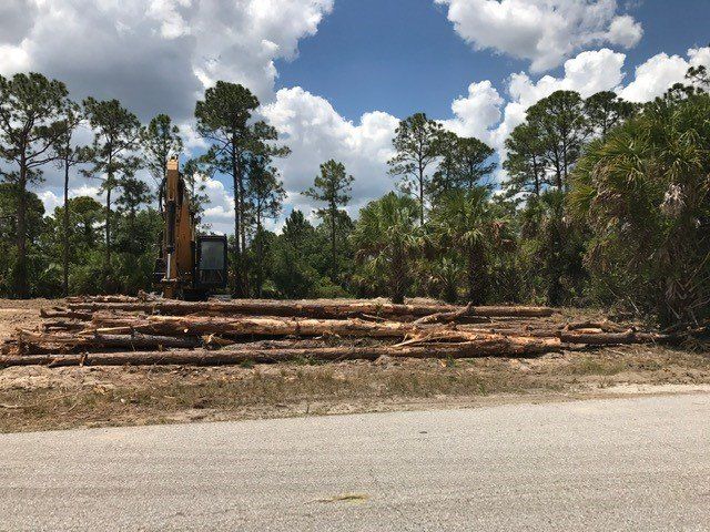 Lot Clearing — Trees Cut Down in Punta Gorda, FL