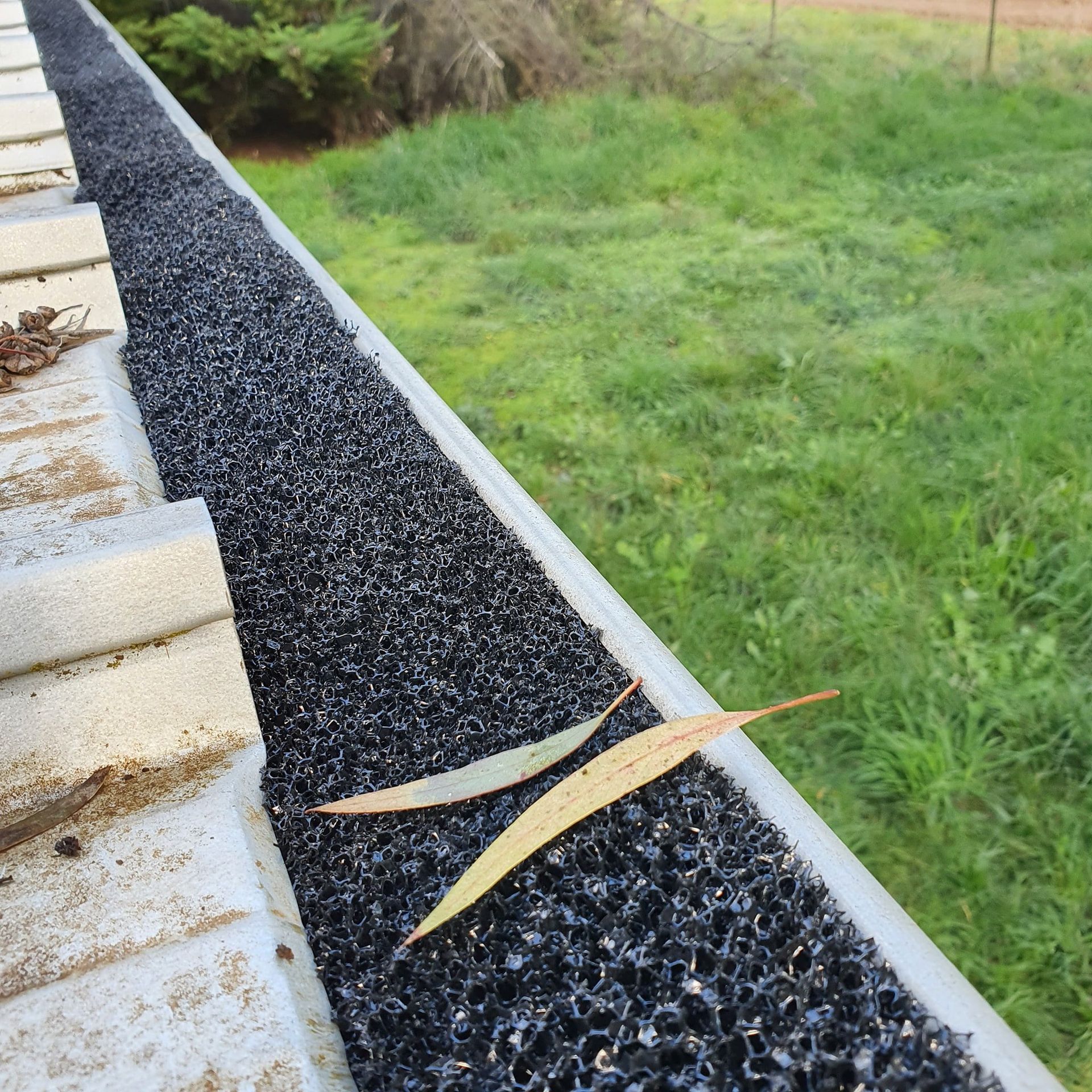 A leaf is laying on the side of a gutter