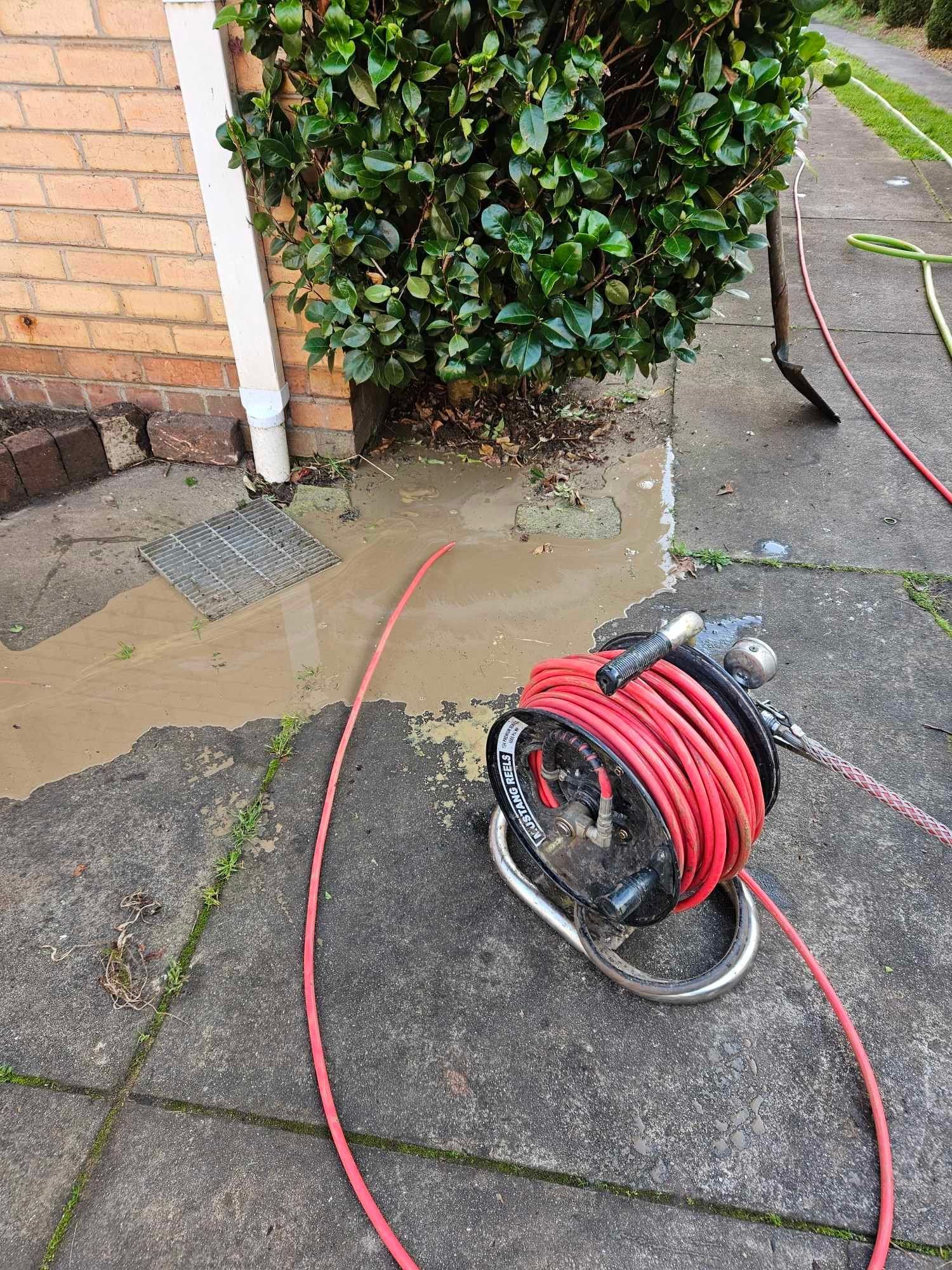 A red hose is sitting on a sidewalk next to a bush.