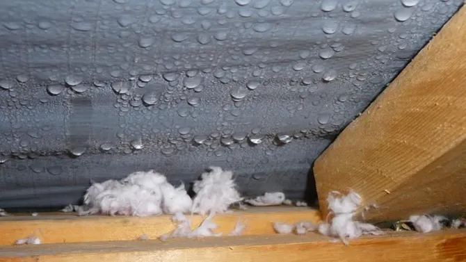 roof leak repair cost