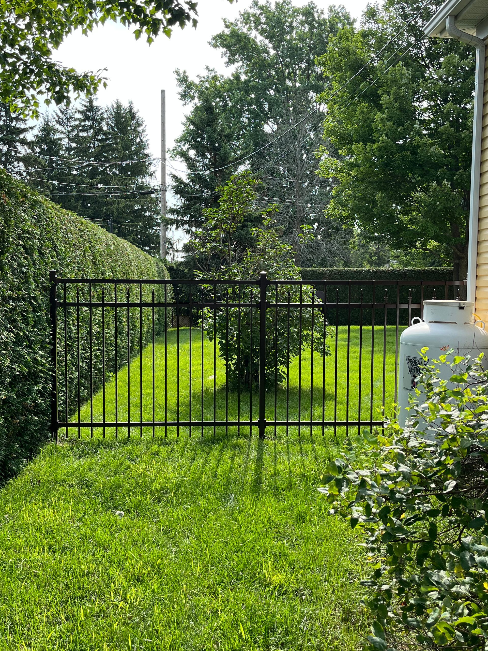 Une clôture en métal noir entoure une cour verte luxuriante.