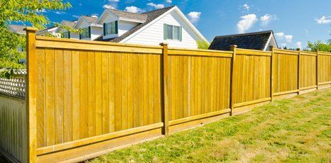 fence panels