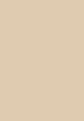 A close up of a beige background with a plain texture.