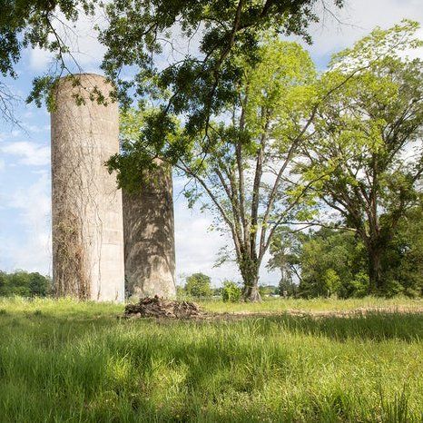 Silo Farm in Rouzan | Baton Rouge, LA