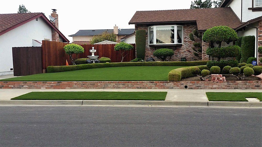 Modern house | Napa, CA | Van Winden Landscaping, Inc.