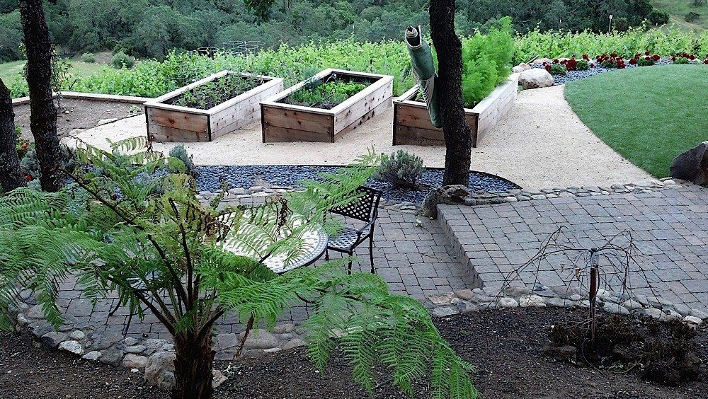 Beautiful stone design and trees | Napa, CA | Van Winden Landscaping, Inc.