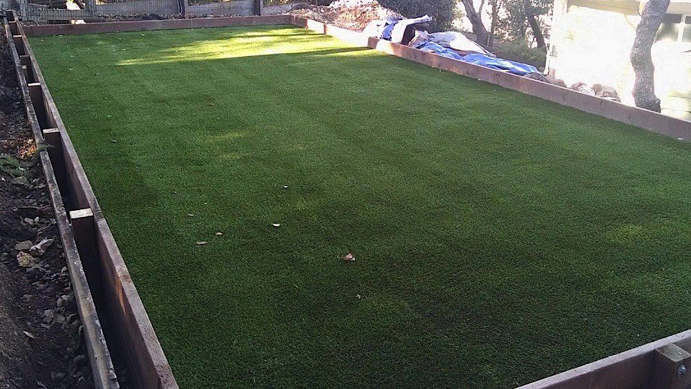 Grass floor | Napa, CA | Van Winden Landscaping, Inc.