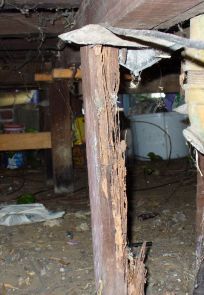 Under a Perth house affected by termites before exterminators visit