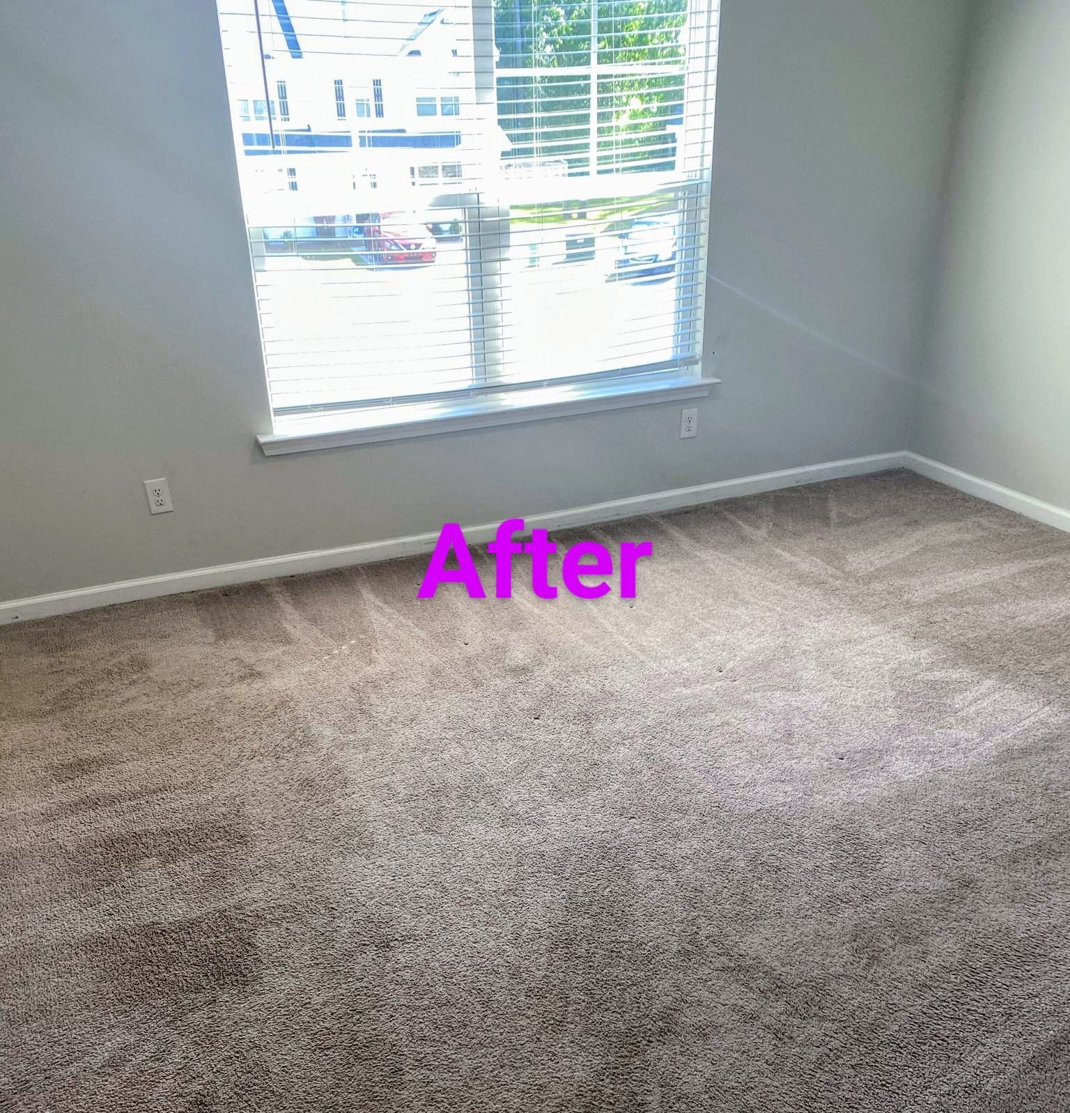A recently cleaned room with beige carpet and a window, labeled 
