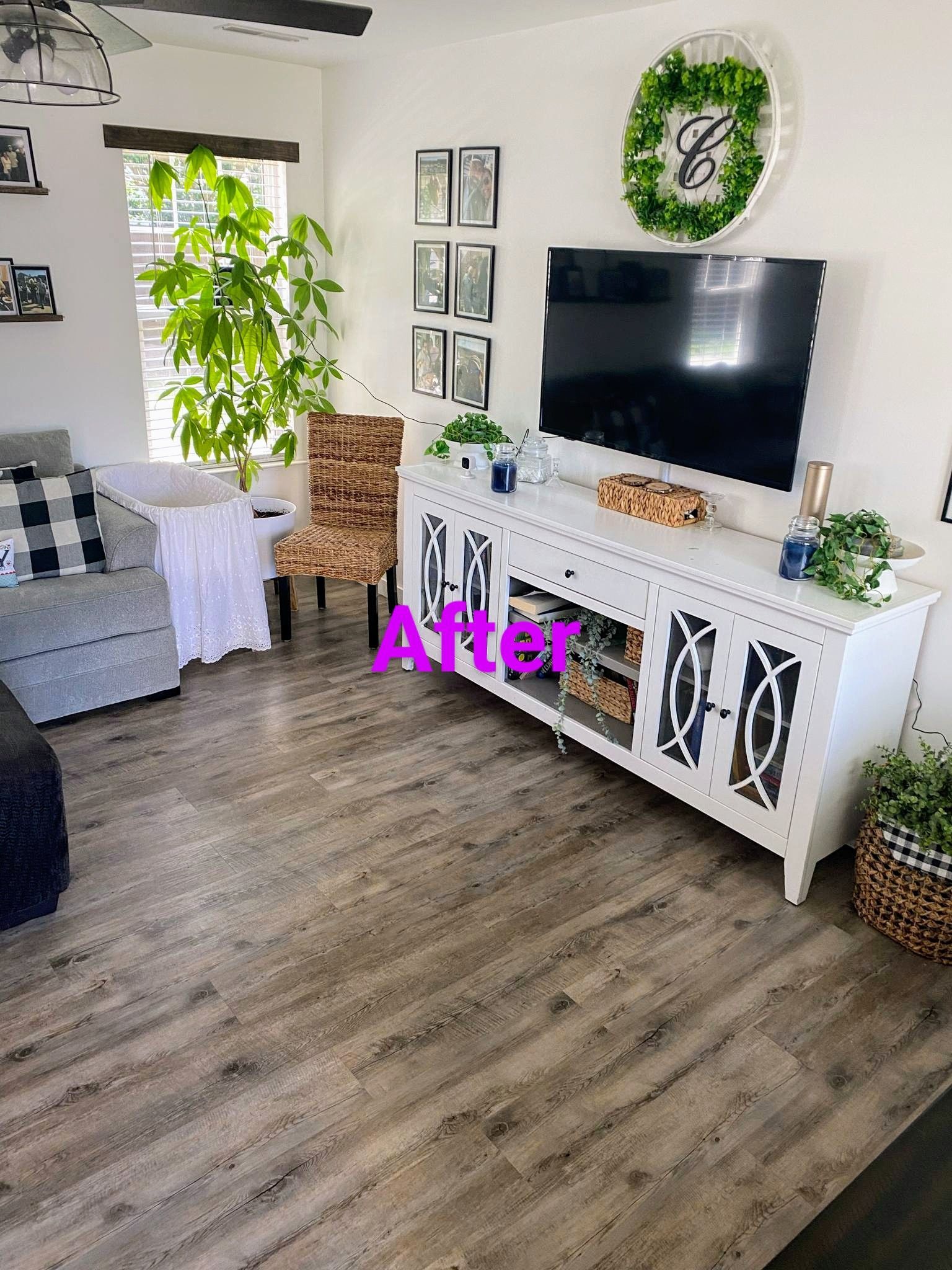 Living room with white TV stand, framed art, and greenery.