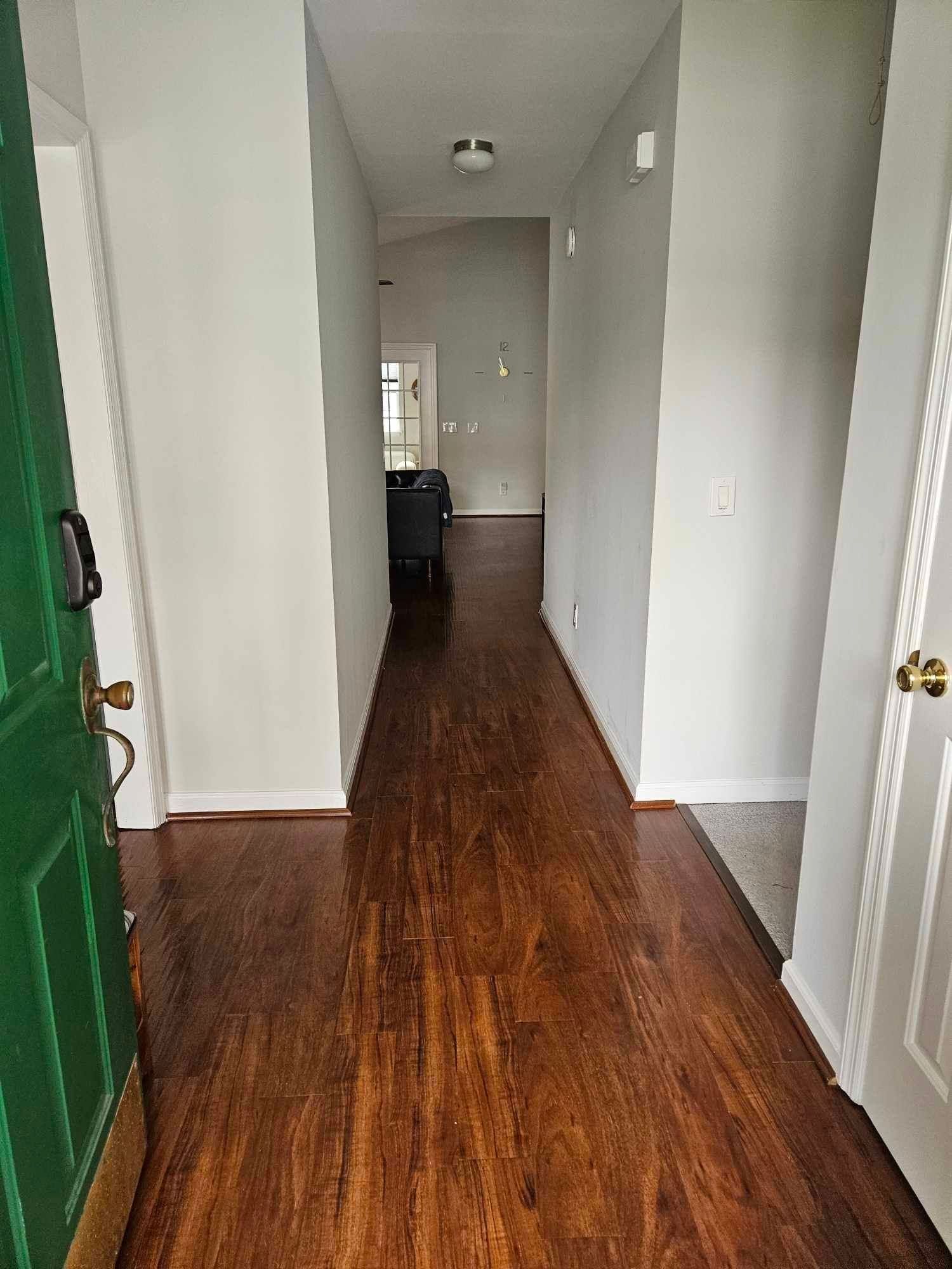 A hallway with hardwood floors and a green door in a house.