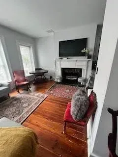 Living room with a TV over a fireplace, two rugs, and a cat on a chair.