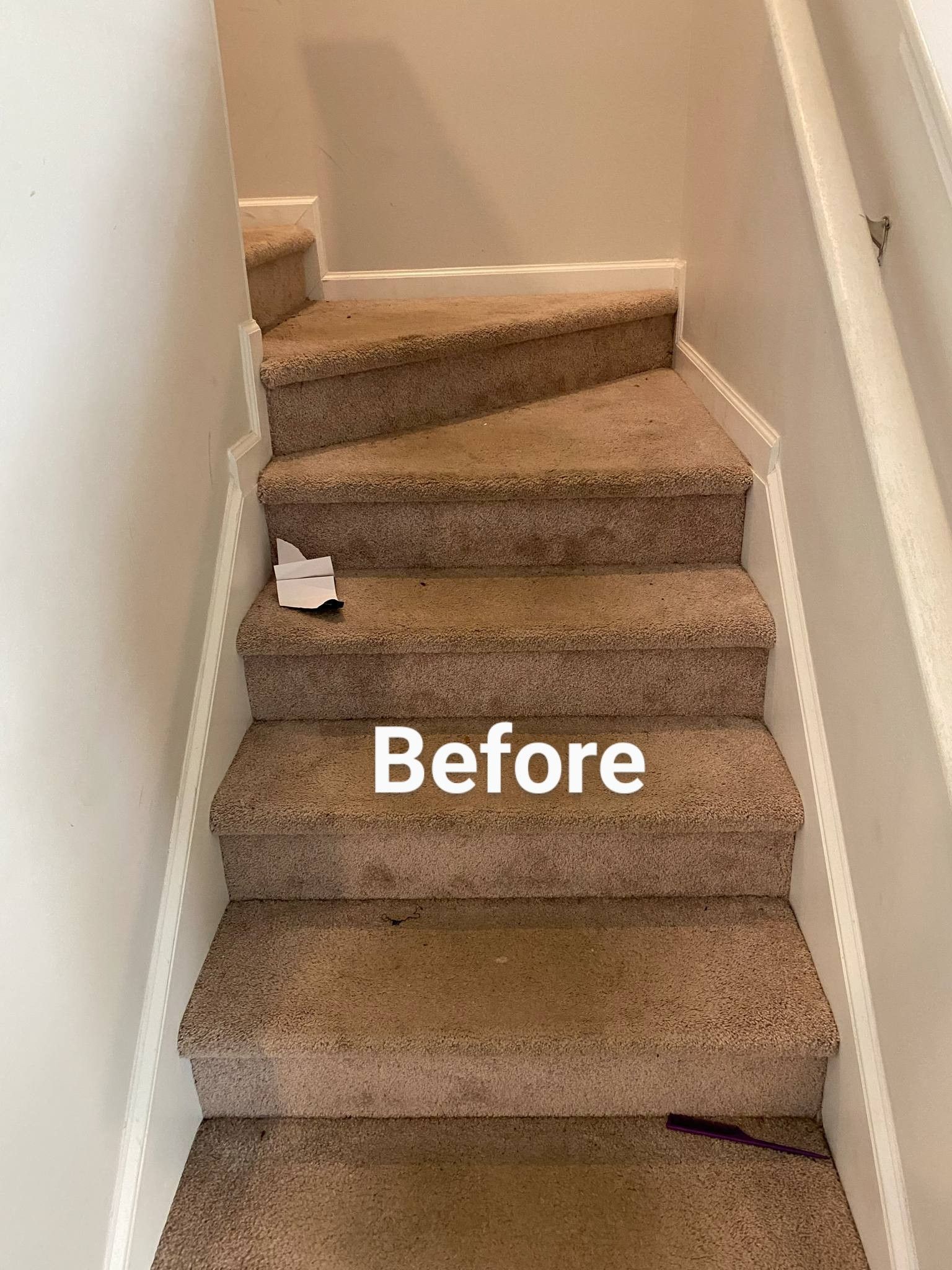 Carpeted stairs leading down, with white trim and walls. 