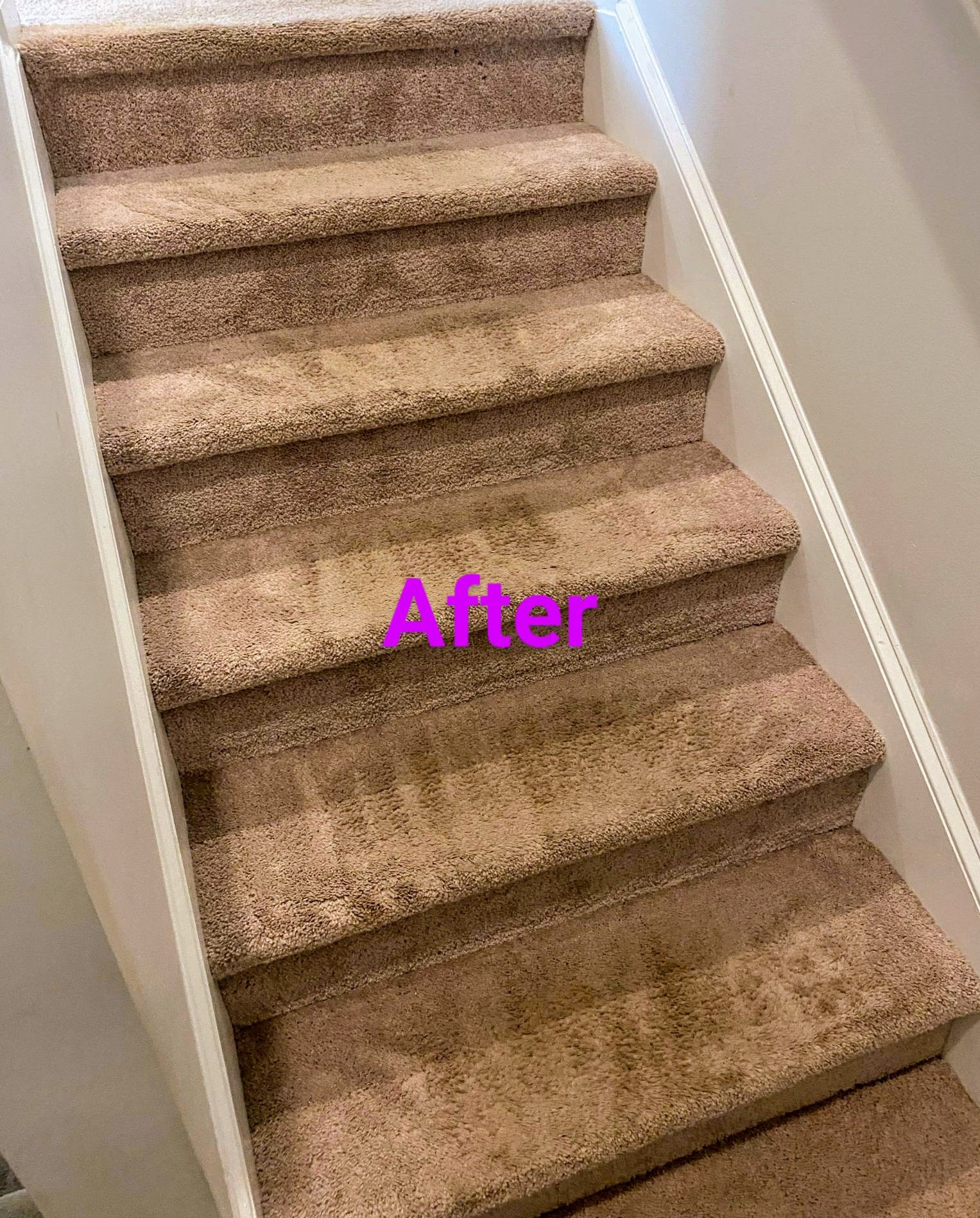 Carpeted staircase, freshly cleaned, with beige steps and white side panels. 