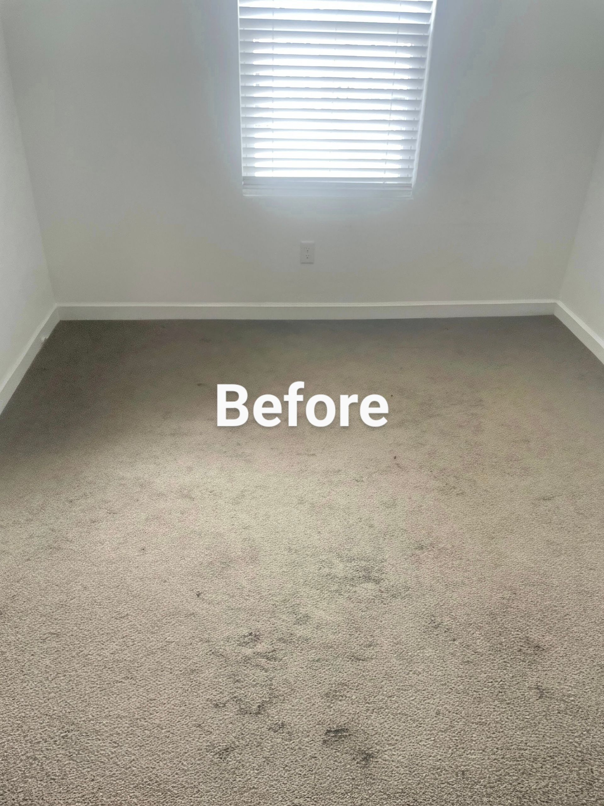 A room with a brown carpet and a window with blinds. The word 