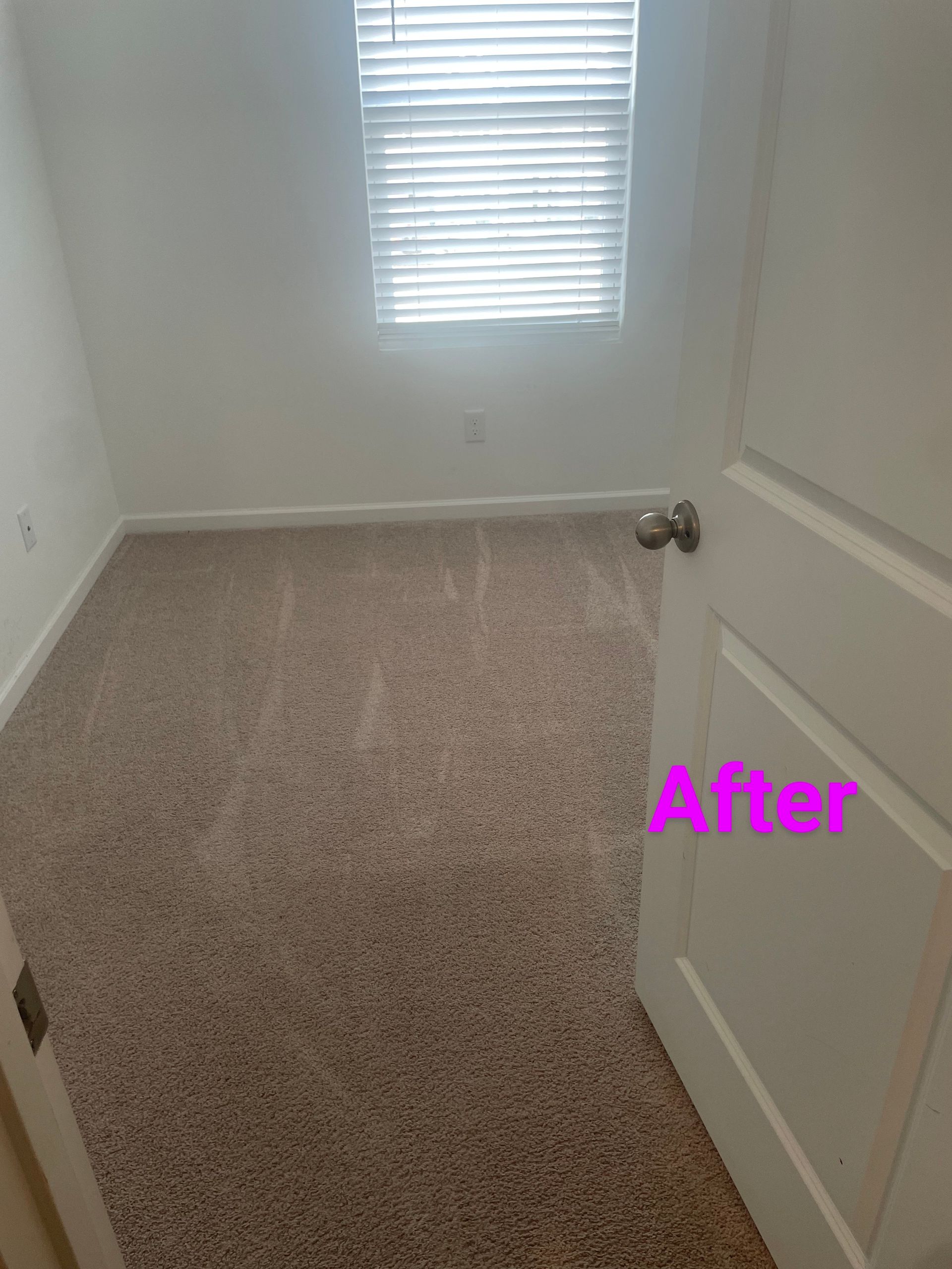 Empty room with light brown carpet, white walls, and a closed door. Window with blinds. 