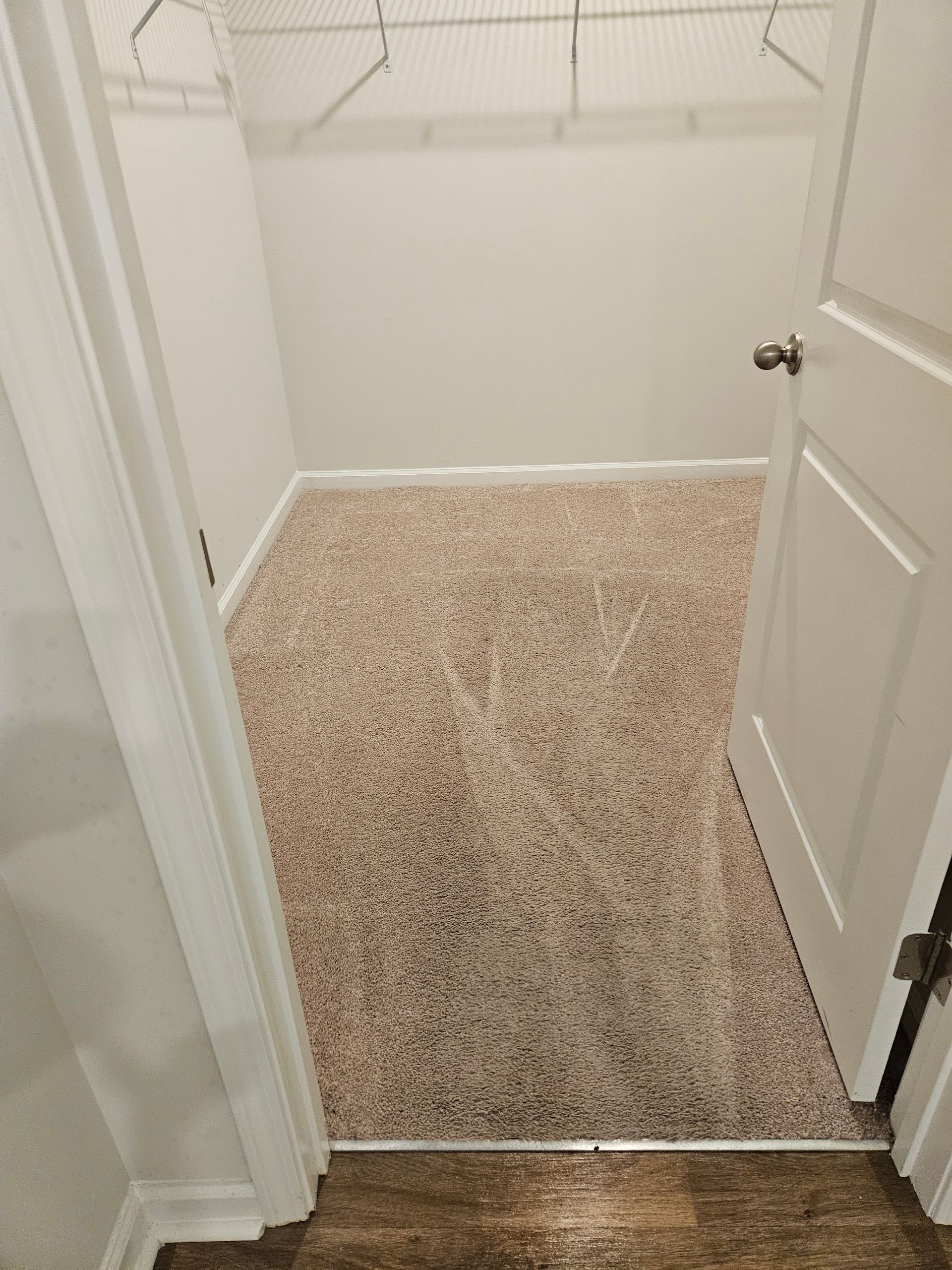 A closet with a door open and a carpeted floor.