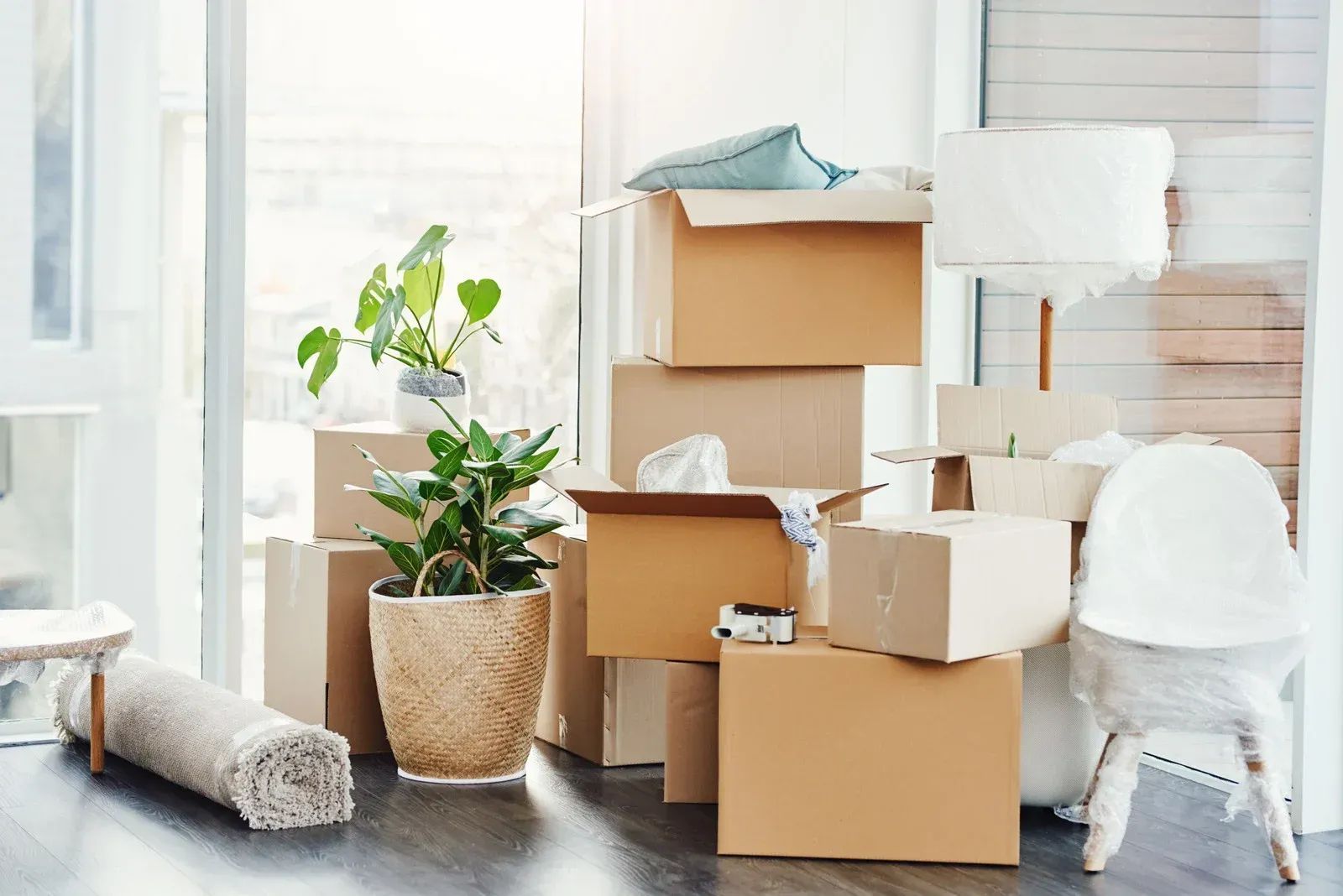 Moving boxes and potted plants in a bright room, suggesting a home move