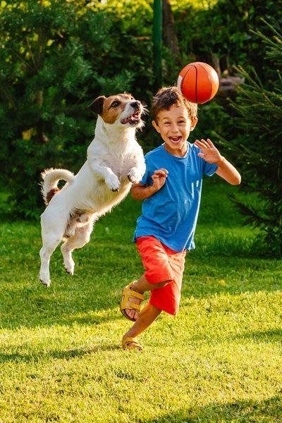 Dog and child jumping for a basketball in a sunny yard.