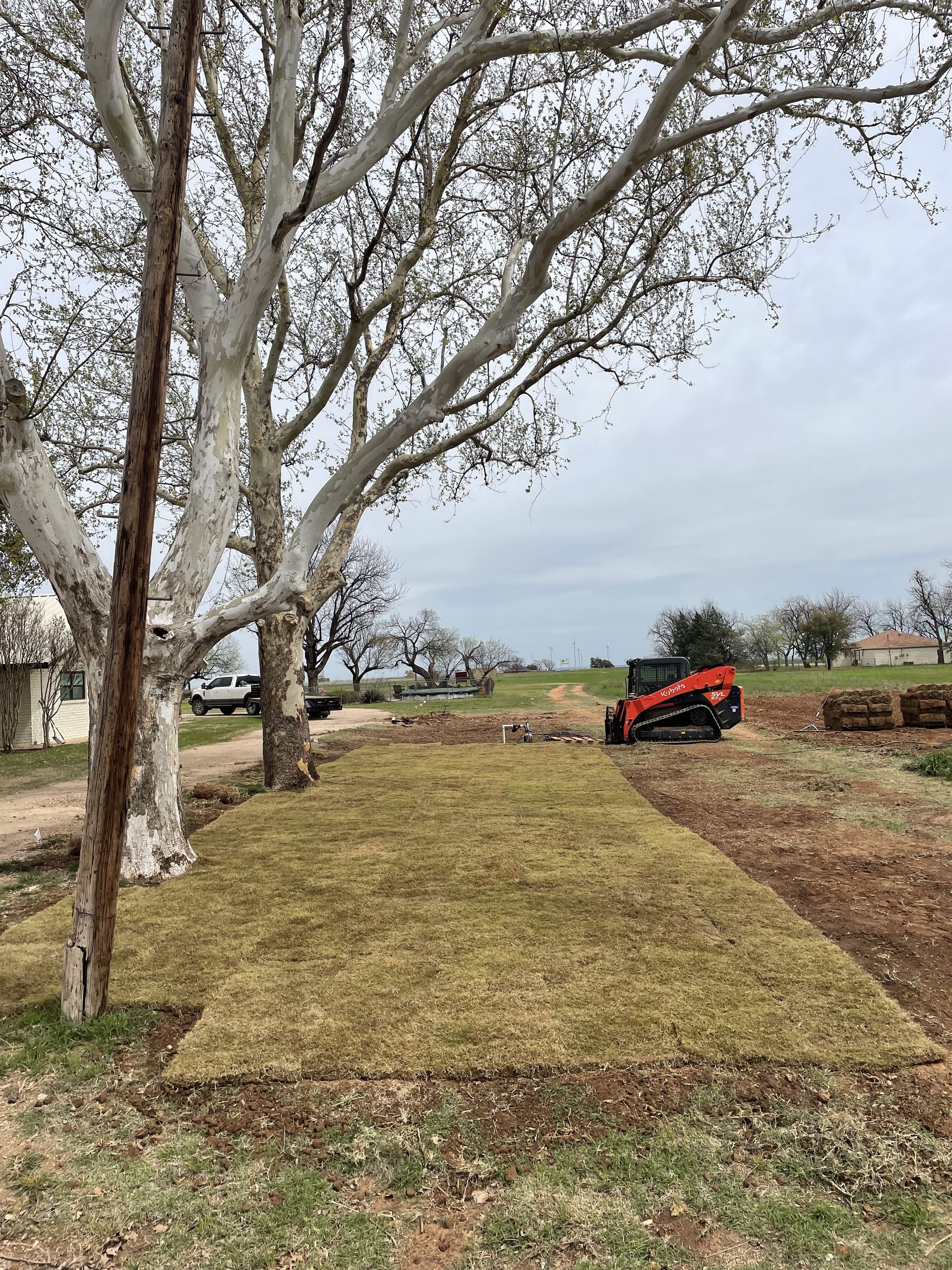 Newly laid sod in a yard with a small tractor. Trees and a cloudy sky in the background.