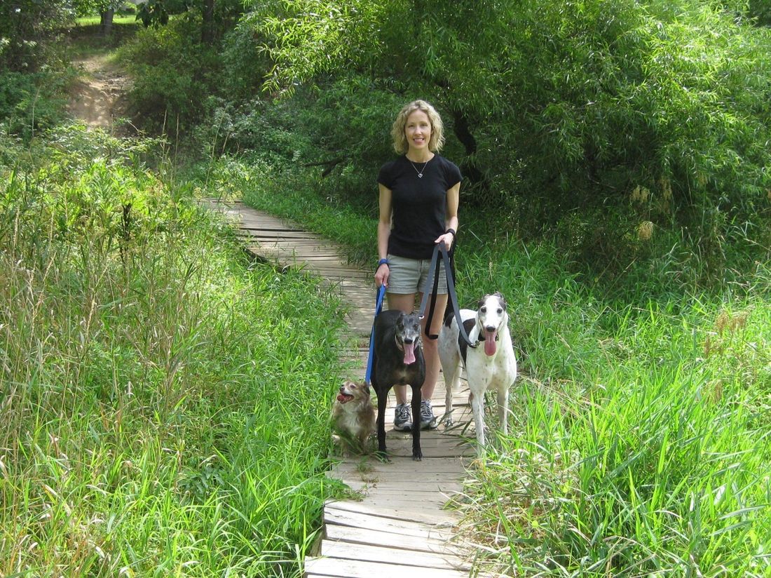 West Gate Pet Sitting Owner Wendy Walks 3 dogs while in her care