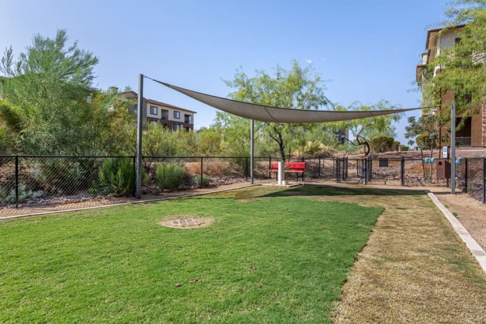 Bark park has a large lawn with a fence and a canopy over it at Marquis Sonoran Preserve in Norterra Phoenix, AZ.