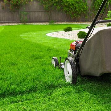 Lawn Mower on the Green Grass — Louisville, KY — Perfect Cut Landscaping