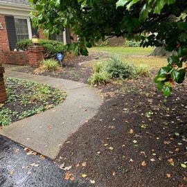Leaves on the Ground — Louisville, KY — Perfect Cut Landscaping