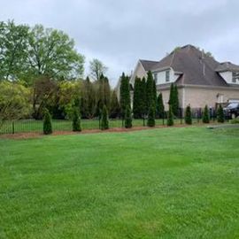 Green Lawn — Louisville, KY — Perfect Cut Landscaping