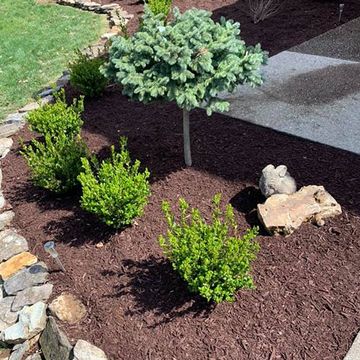 Flower Bed with Rocks and Mulch — Louisville, KY — Perfect Cut Landscaping