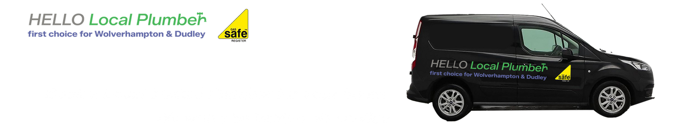 Cartoon street with black van and HELLO Local Plumber Logo