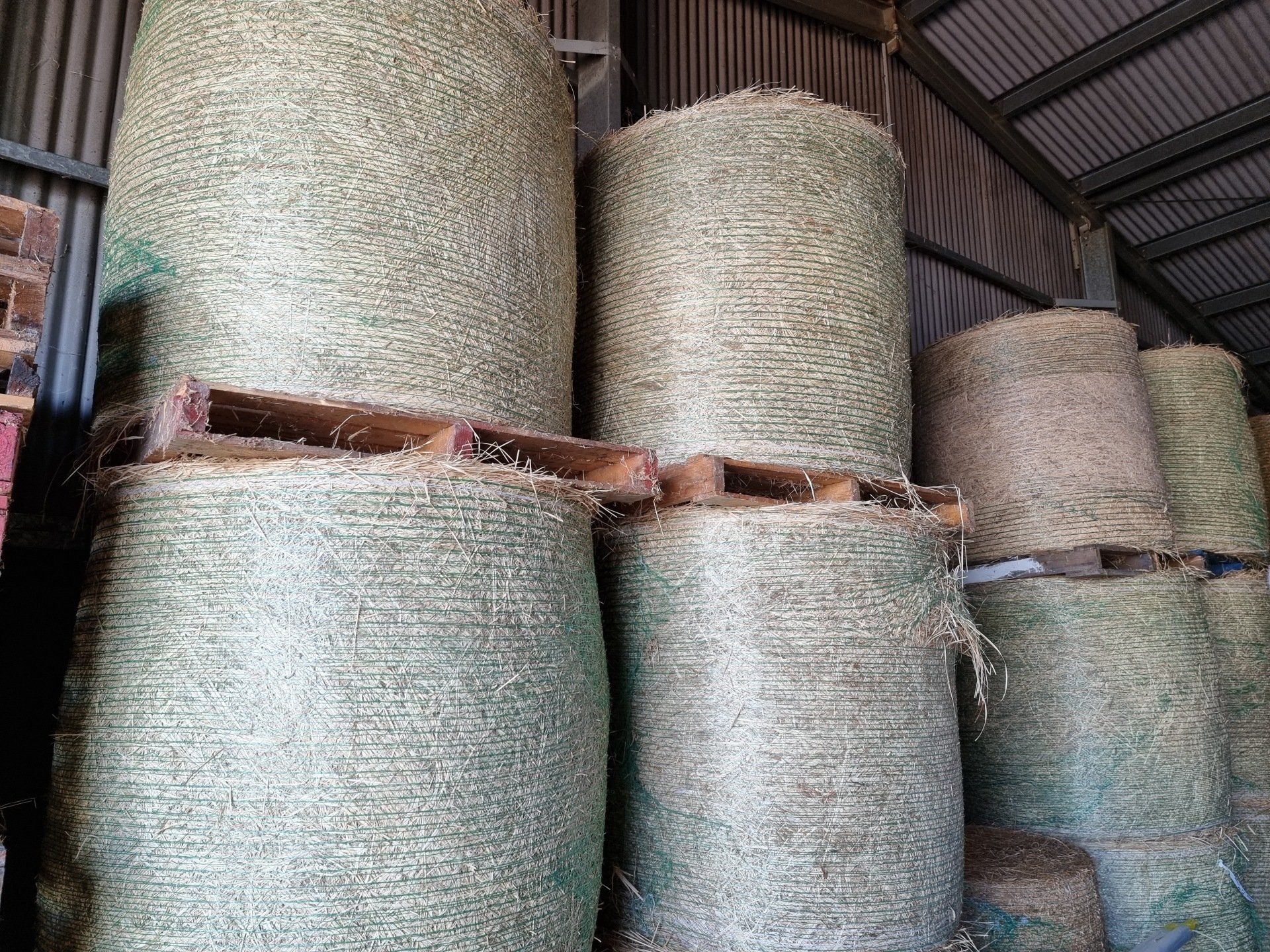Bails Of Hay — Pet N Produce Supplies & Saddlery In Maryborough QLD