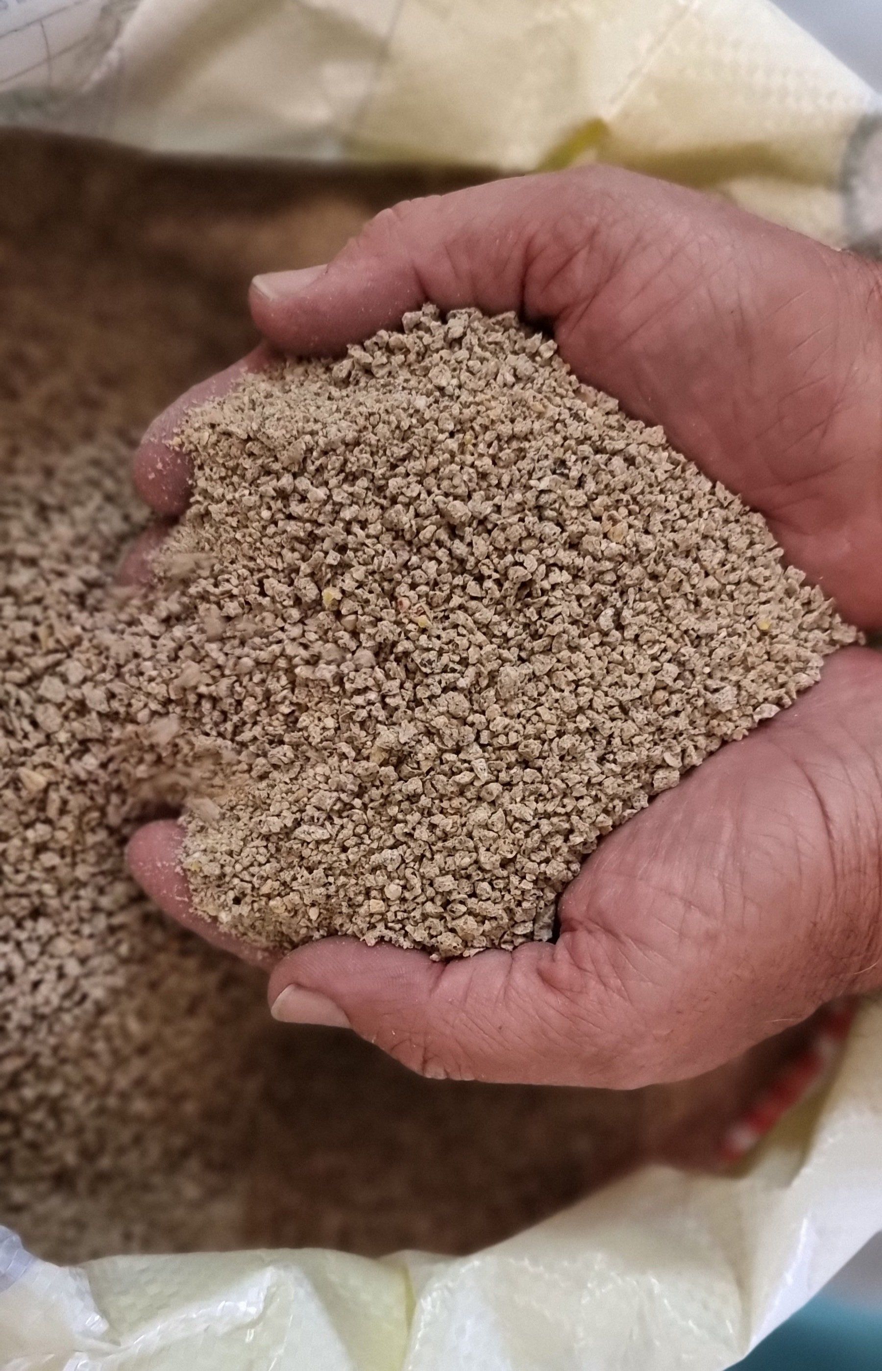 Hand Holding Livestock Food — Pet N Produce Supplies & Saddlery In Maryborough QLD