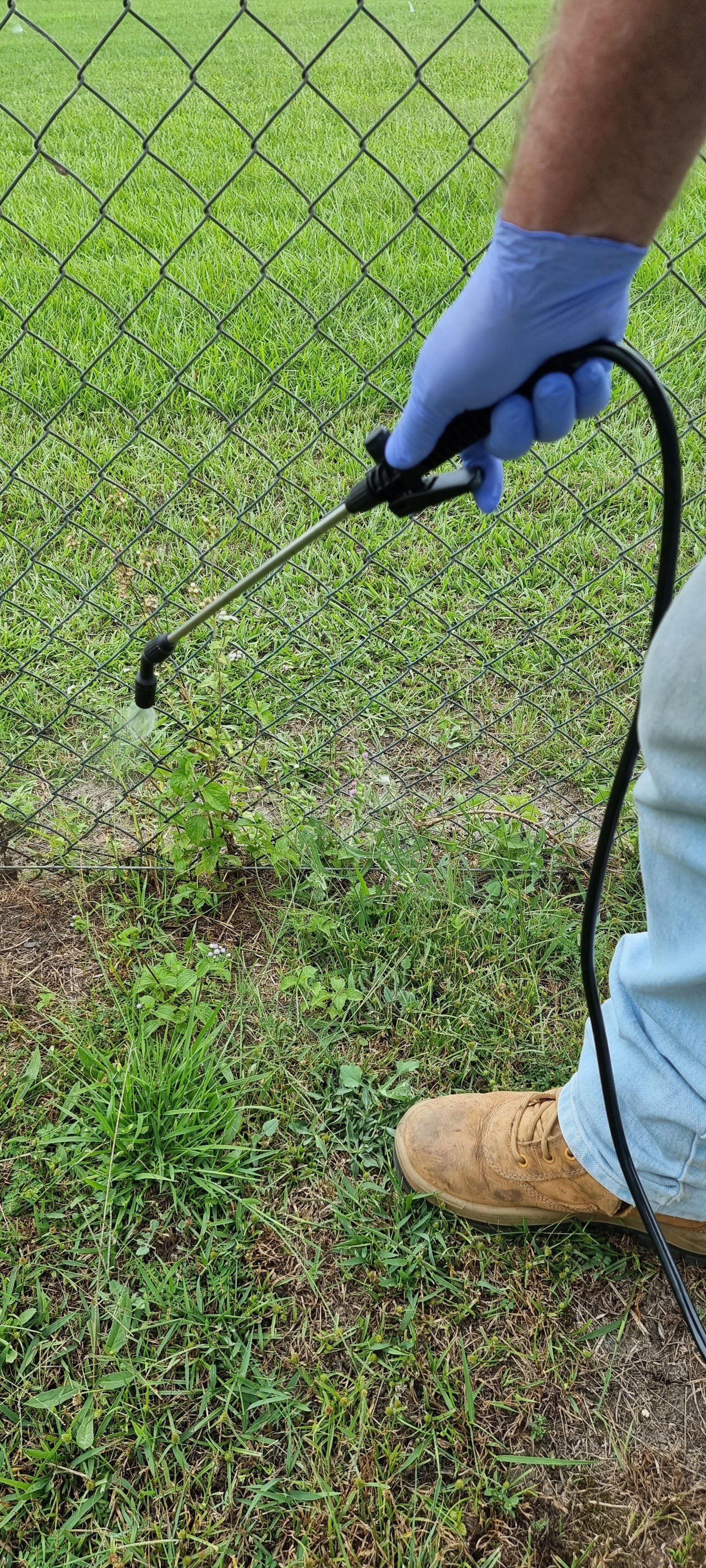 Spraying Pesticides On Veggies — Pet N Produce Supplies & Saddlery In Maryborough QLD