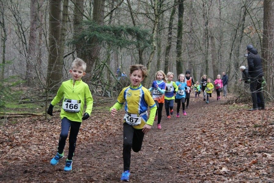 Kinderen doen mee aan een veldloopwedstrijd op een bospad; twee op de voorgrond, de anderen erachter.