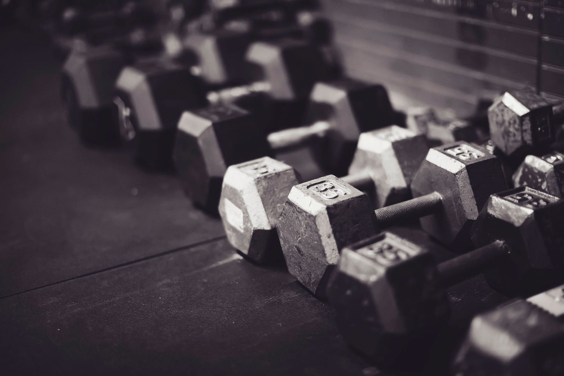 A black and white photo of a row of dumbbells in a gym.