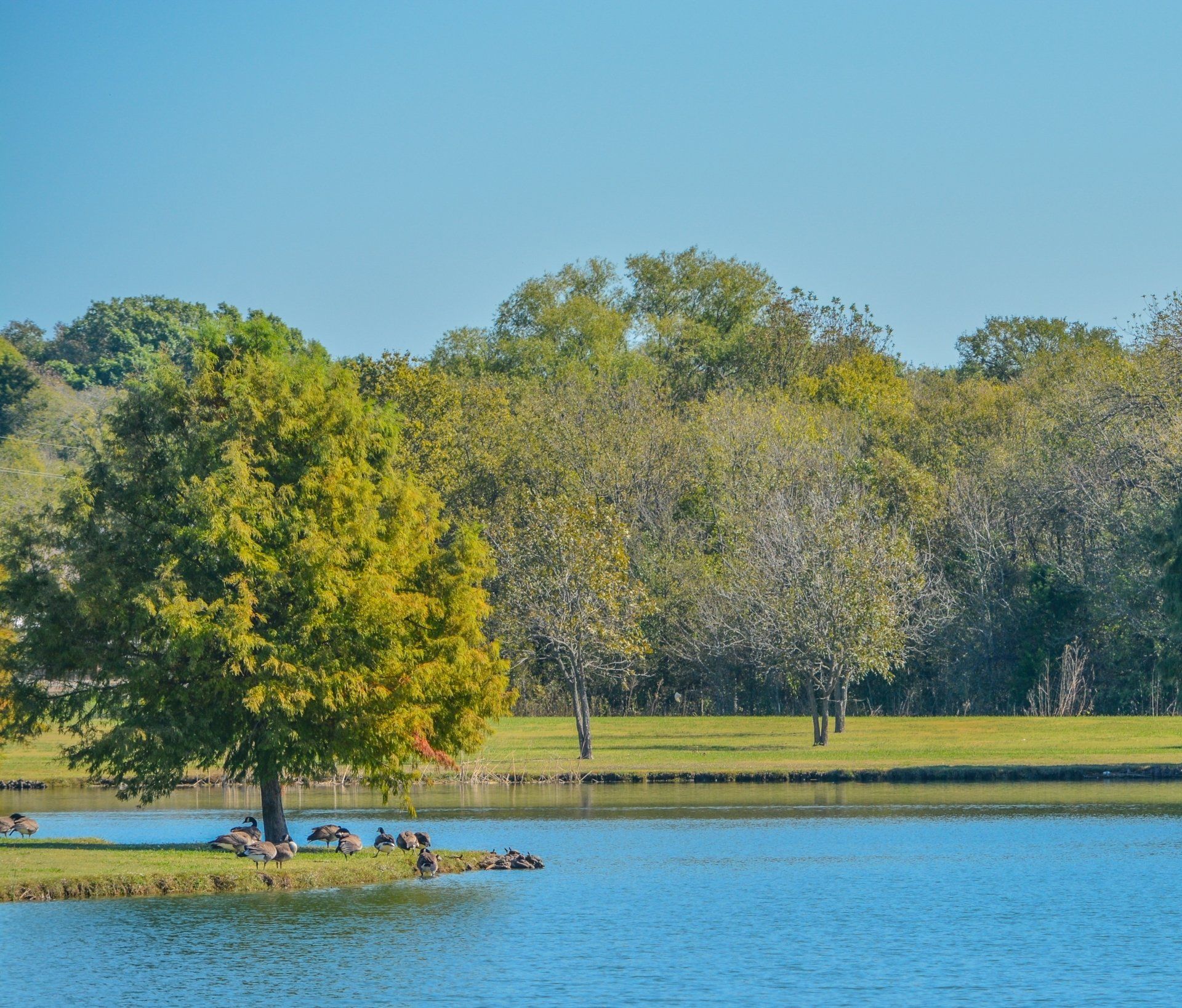 We Buy Texas Homes Fast for Cash Win Win Home Buyers