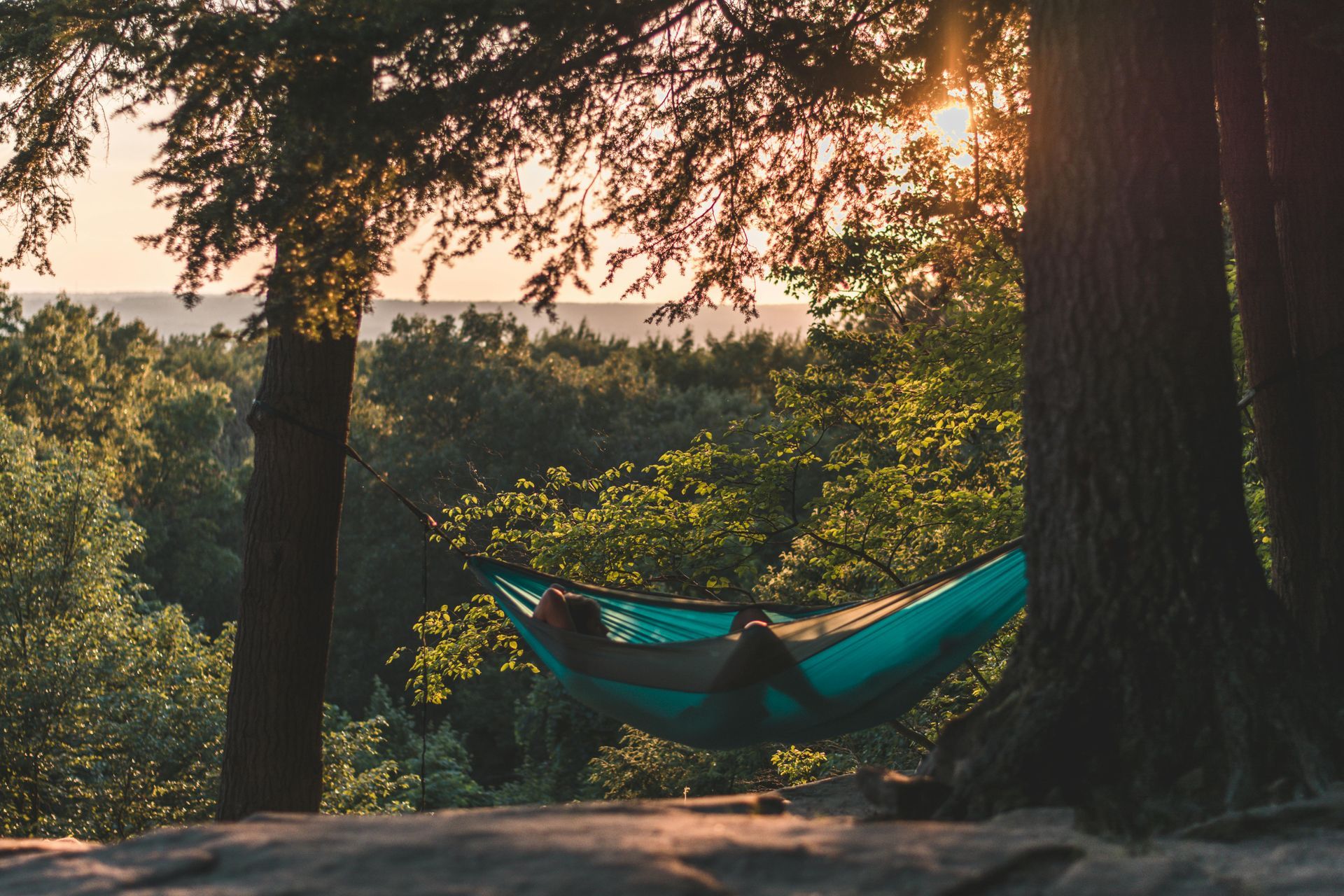 A person is laying in a hammock between two trees in the woods.