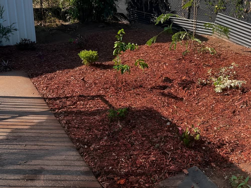 Red Mulch Covers Garden Bed With Small Green Plants — Green Scene NT in Darwin, NT