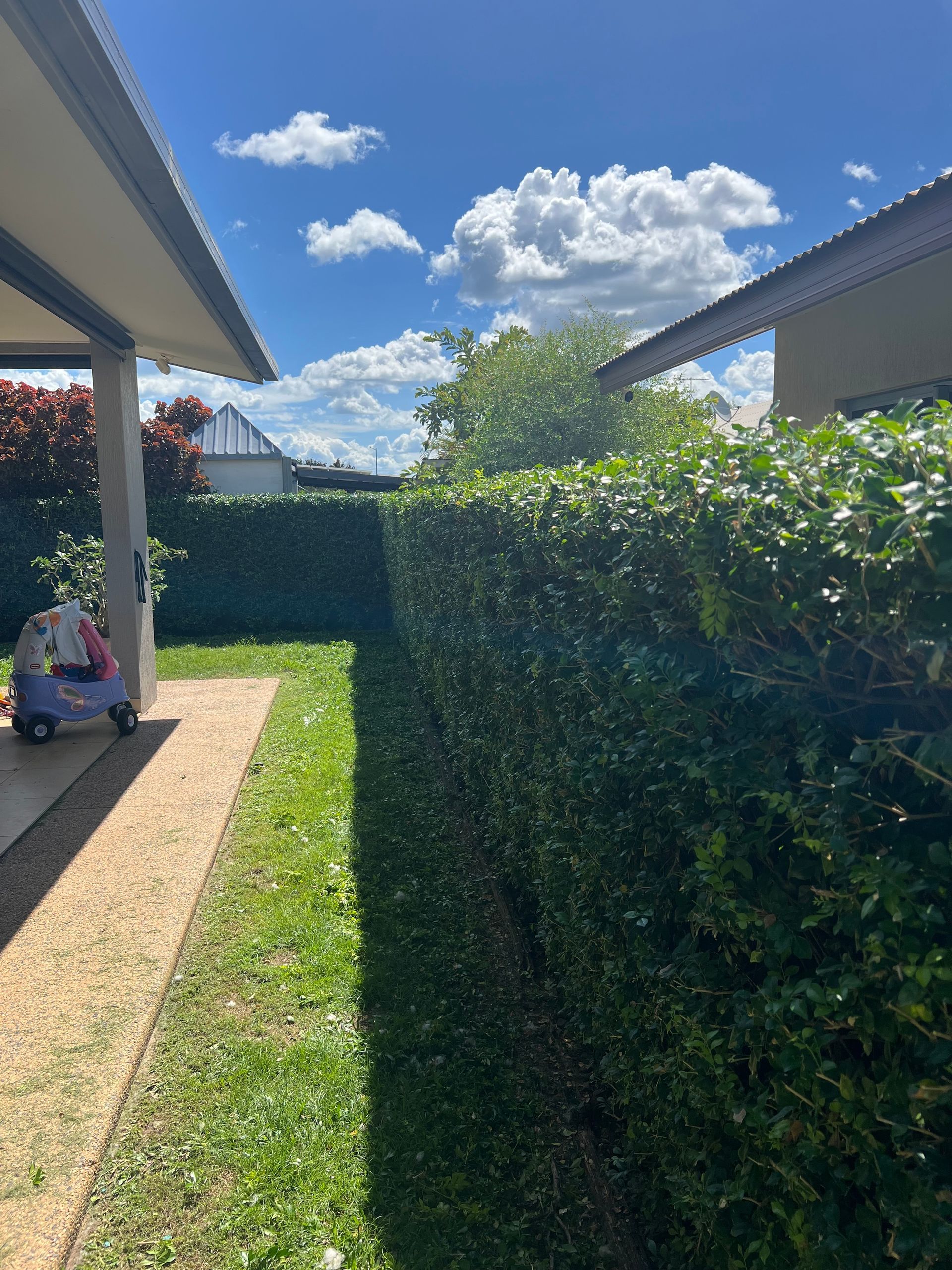 Green hedge borders a lawn next to a concrete pathway, with blue sky and white clouds above — Green Scene NT in Darwin, NT